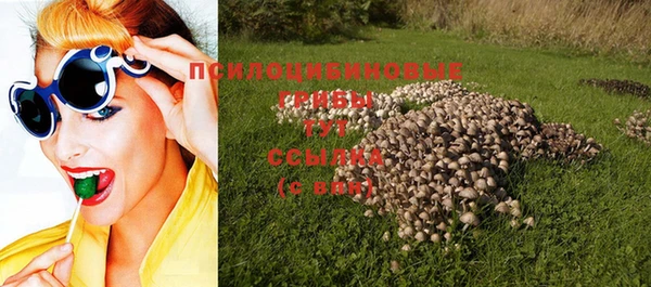 a pvp Белокуриха