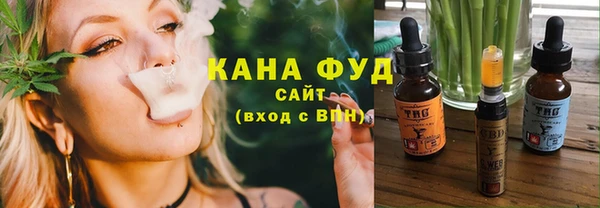 индика Бугульма