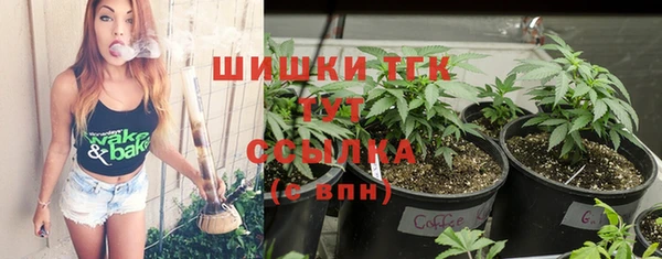 индика Бугульма