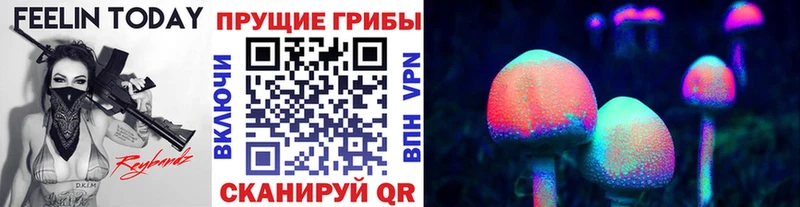 Галлюциногенные грибы MAGIC MUSHROOMS  Велиж 